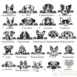 Engraved Dog Paw Band For Apple Watch -Watch Store 2watch band dog breed 1 1 1 1 2