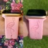 Pink Flamingo Band For Apple Watch -Watch Store dhhrw